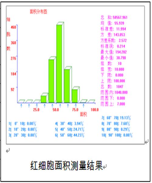 报告单